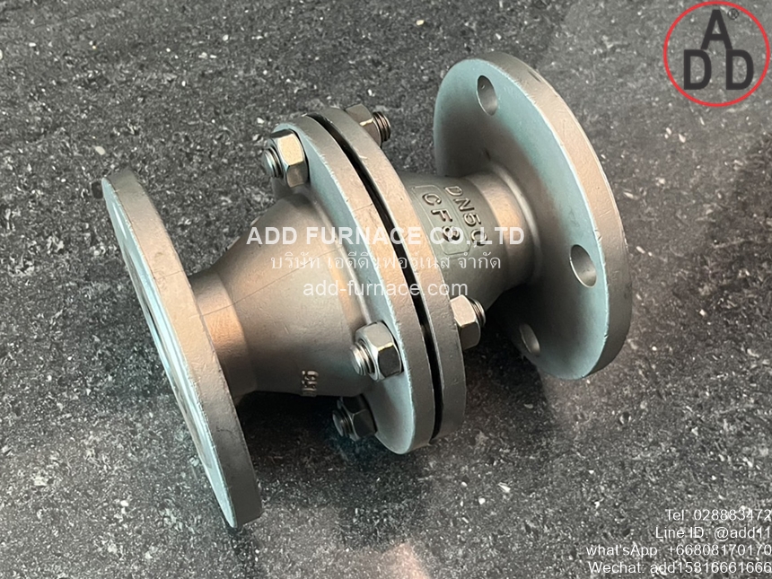 Arrester Fire Back Valve Flange DN50(2)